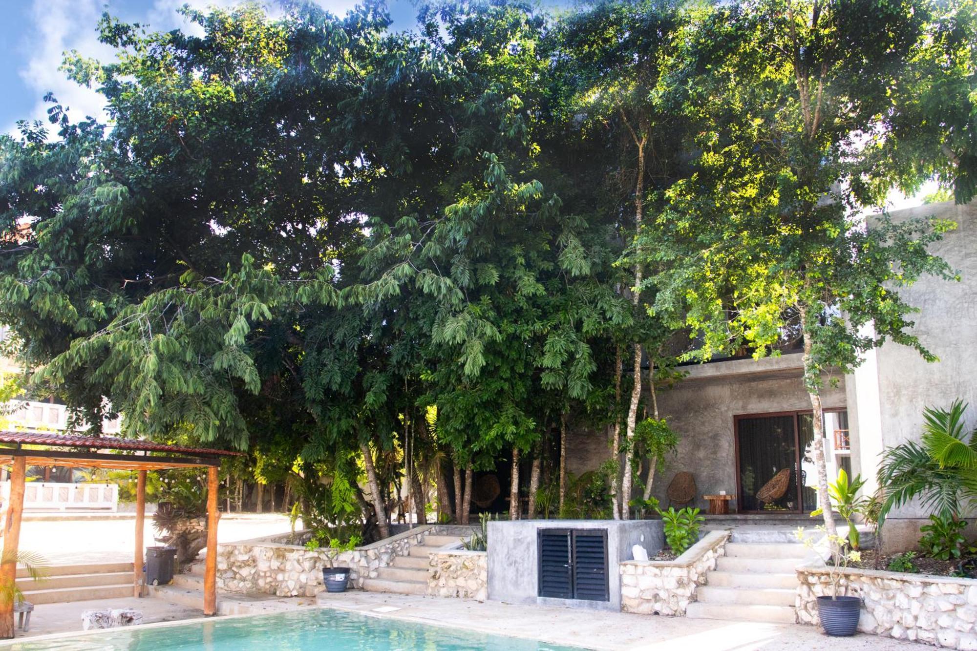 Hotel Casa Tortuga Tulum - Cenotes Park Inclusive מראה חיצוני תמונה Casa Periódica, Mérida, Yucatán, Mexico