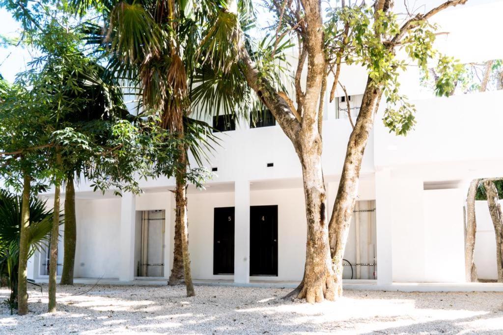 Hotel Casa Tortuga Tulum - Cenotes Park Inclusive מראה חיצוני תמונה The house of the writer, in Mérida, Yucatán.